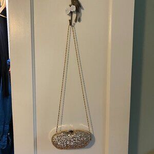 Champagne Sequin Evening Bag with Red Liner